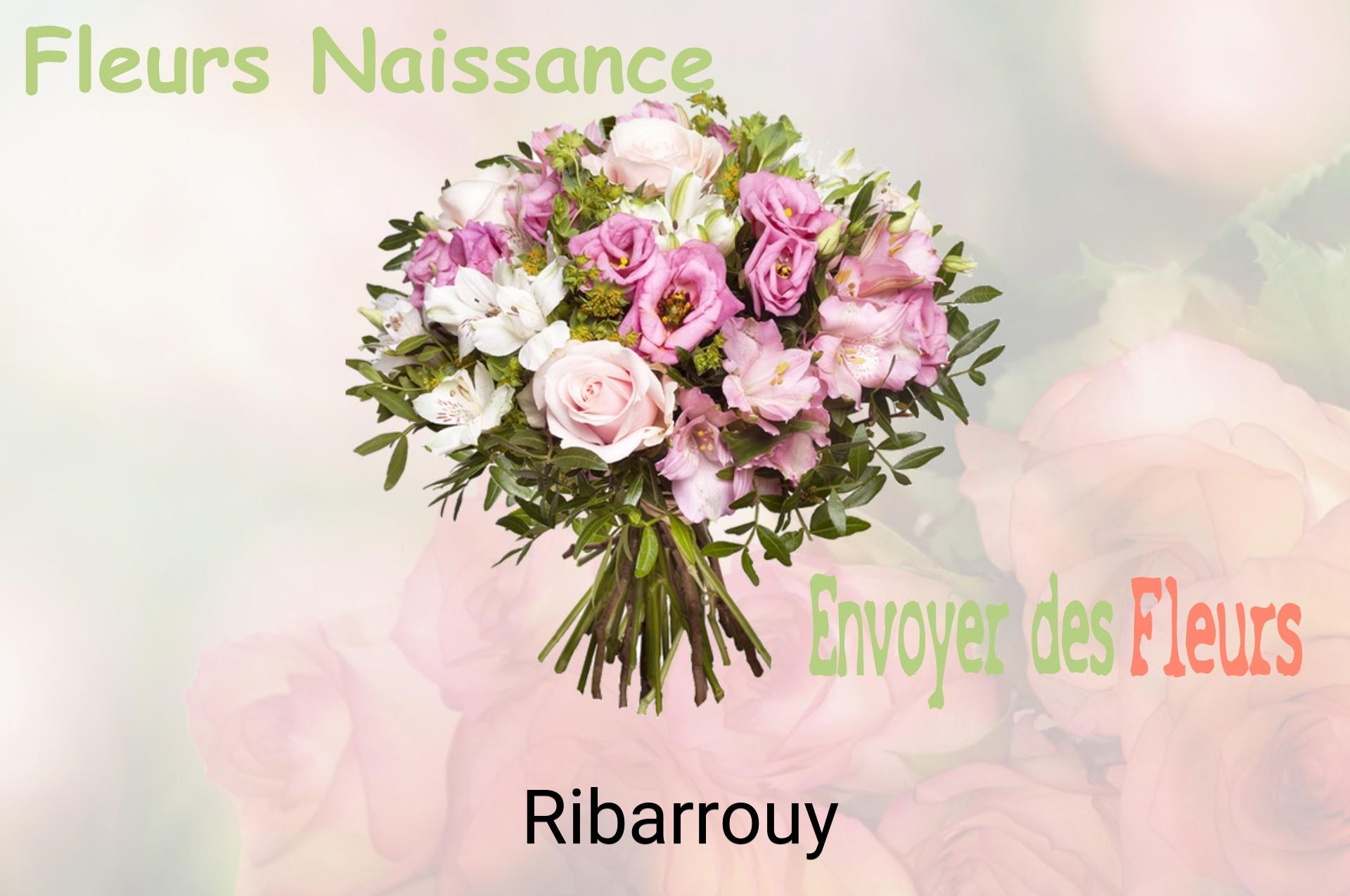 Bouquet de fleurs de naissance livré à Ribarrouy
